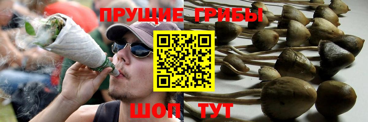 Коммунар  Псилоцибиновые грибы Magic Shrooms  Псилоцибиновые грибы ЛСД  Вход с VPN 
