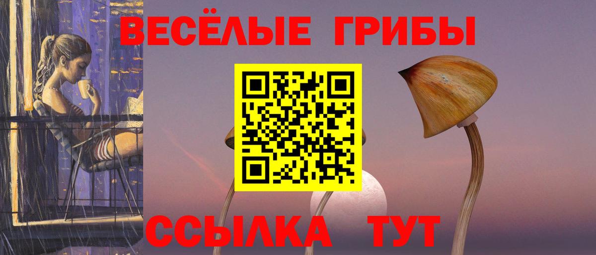 Псилоцибиновые грибы Psilocybe Коммунар